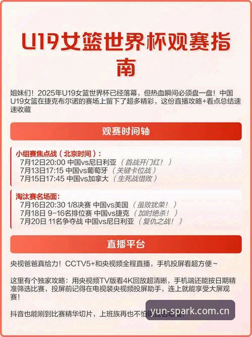 世界杯观赛签证难题完整指南：在云开全站官网深度解读赛事背后的政治博弈